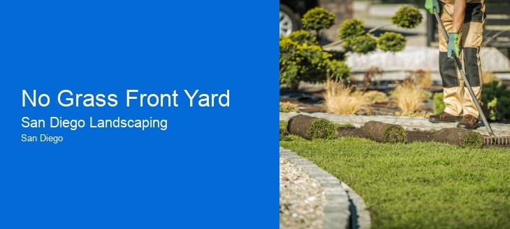 No Grass Front Yard