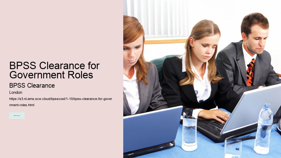 BPSS Clearance for Government Roles