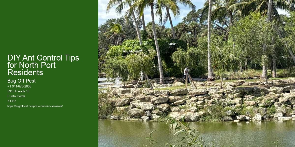 DIY Ant Control Tips for North Port Residents