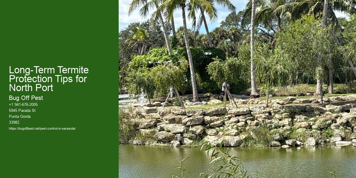 Long-Term Termite Protection Tips for North Port