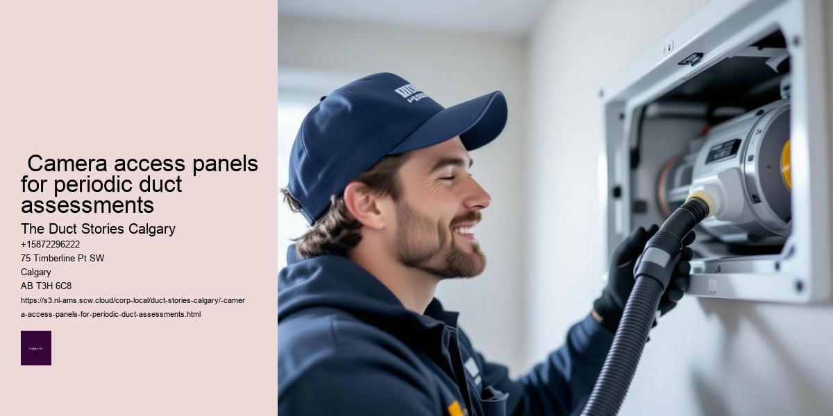  Camera access panels for periodic duct assessments
