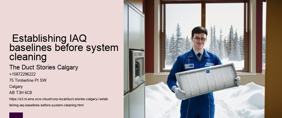  Establishing IAQ baselines before system cleaning
