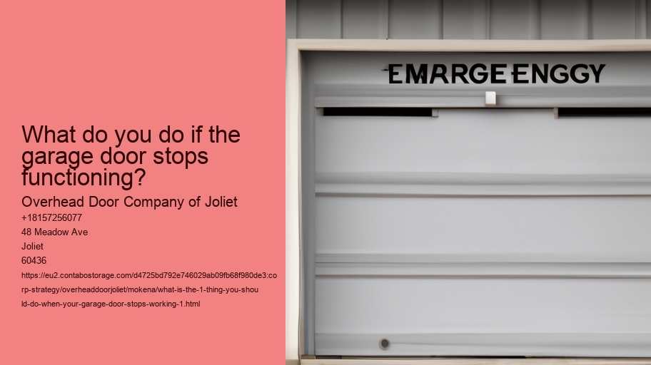 What is the #1 Thing You Should Do When Your Garage Door Stops Working?