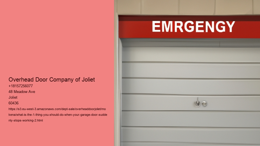 What is the #1 Thing You Should Do When Your Garage Door Suddenly Stops Working?