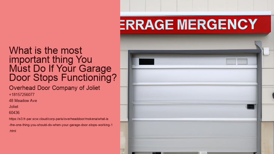 What is the one thing You Should Do When Your Garage Door Stops Working?