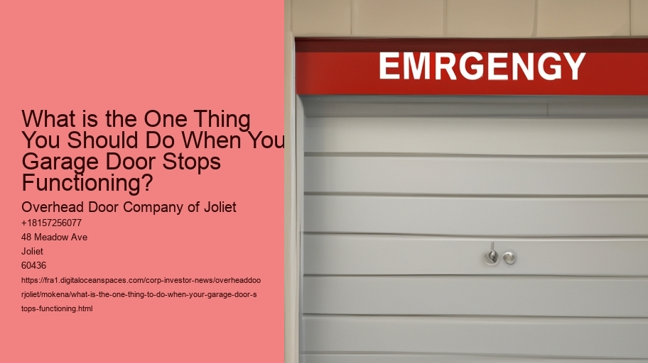 What is the one thing to do when your Garage Door Stops Functioning?