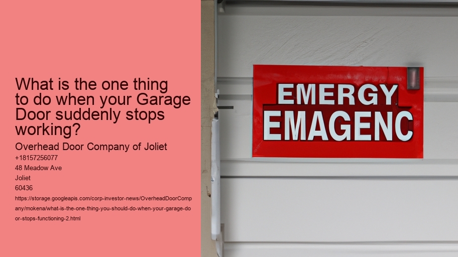 What is the One Thing You Should Do When Your Garage Door Stops Functioning?