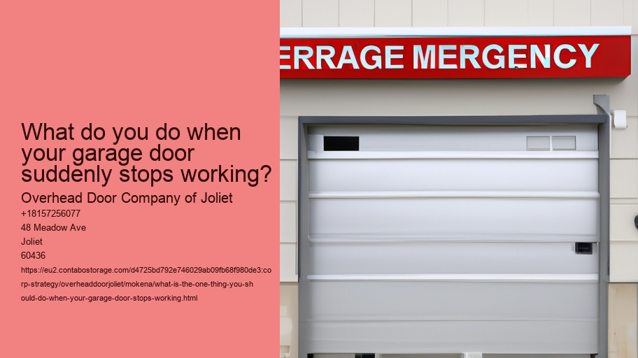 What is the One Thing You Should Do When Your Garage Door Stops Working?