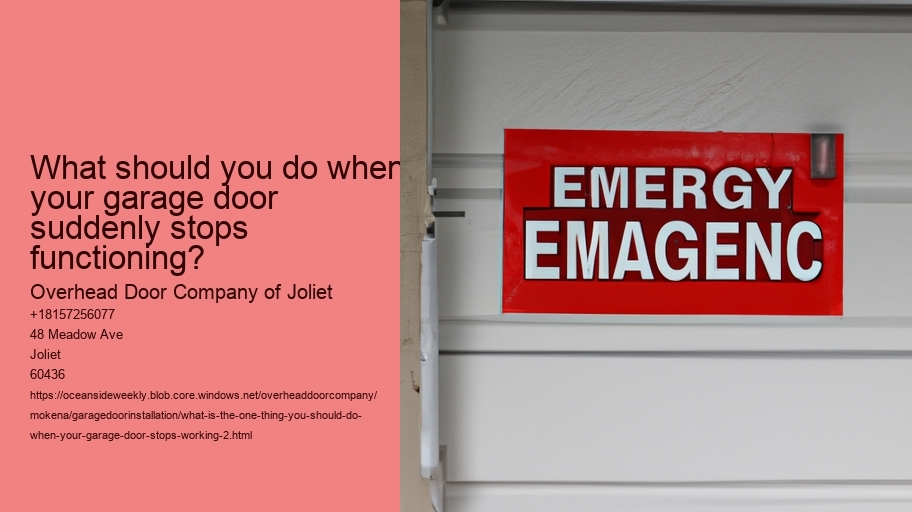 What is the One Thing You Should Do When Your Garage Door Stops Working?