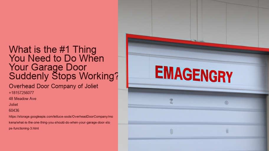 What is the one thing You Should Do When Your Garage Door Stops Functioning?
