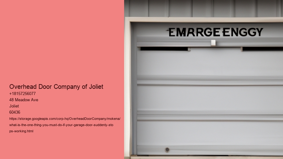 What is the One Thing You Must Do If Your Garage Door suddenly stops working?