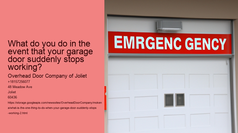 What is the One Thing to do when your Garage Door suddenly stops working?