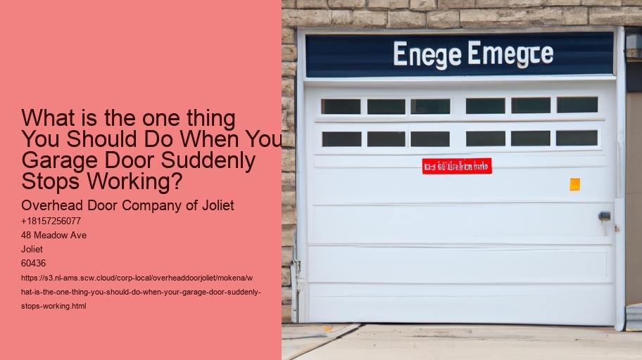 What is the one thing You Should Do When Your Garage Door Suddenly Stops Working?