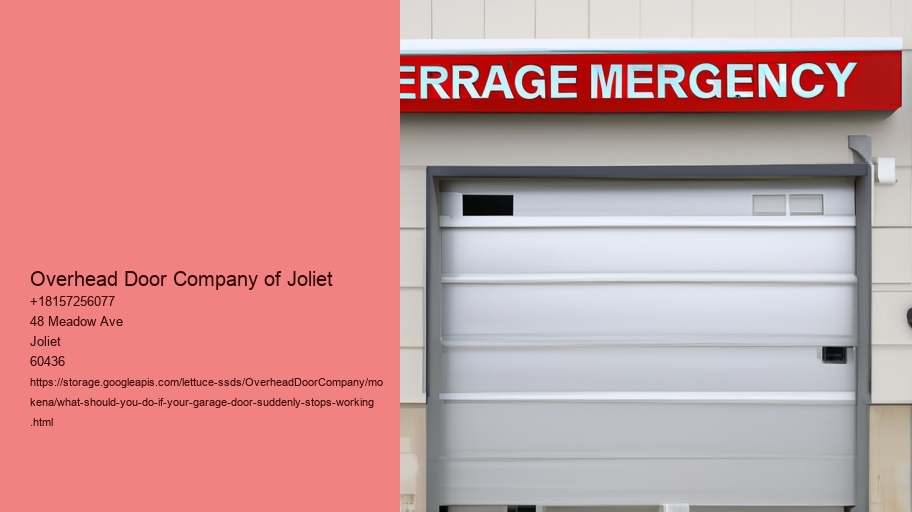 What should you do if your garage door suddenly stops working?