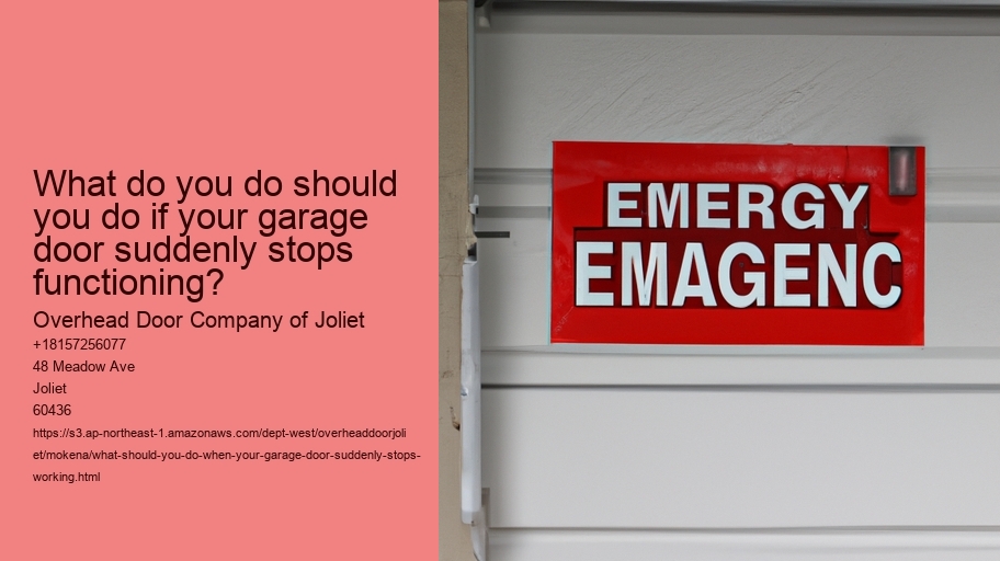 What should you do when your garage door suddenly stops working?