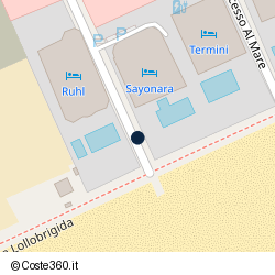 Posizione della concessione demaniale marittima Comune di Jesolo, A. 2015, N. 77