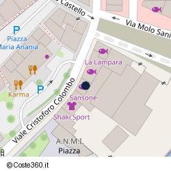 Posizione della concessione demaniale marittima Autorità Portuale di Mari Tirreno Meridionale E Ionio, A. 2019, N. 12