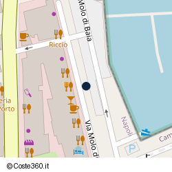 Posizione della concessione demaniale marittima Comune di Bacoli, A. 2008, N. 111