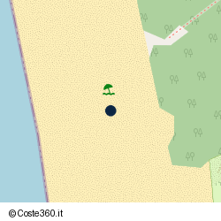 Posizione della concessione demaniale marittima Comune di Bibbona, A. 2025, N. 20