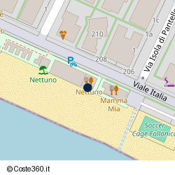 Posizione della concessione balneare Comune Follonica, A. 2009, N. 040