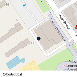 Posizione della concessione demaniale marittima Comune di Pietrasanta, A. 2011, N. 01