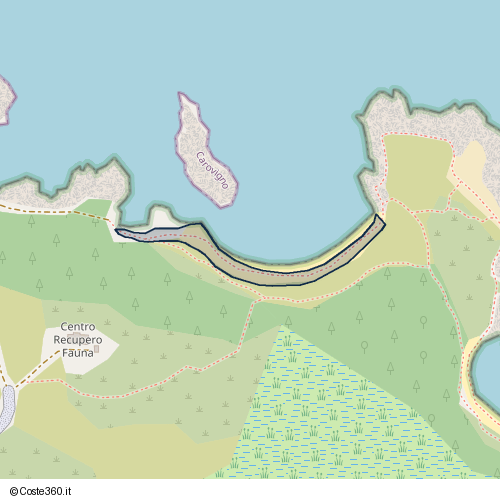 Posizione della spiaggia Spiaggia nei pressi di Sentiero Riserva Naturale Torre Guaceto, Carovigno