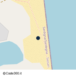 Posizione della concessione demaniale marittima Regione di Sardegna, A. 2003, N. 319