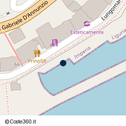 Posizione della concessione demaniale marittima Comune di Imperia, A. 2014, N. 55