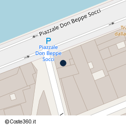 Posizione della concessione demaniale marittima Autorità Portuale di Regione Toscana, A. 2019, N. 8