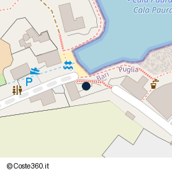 Posizione della concessione demaniale marittima Comune di Polignano A Mare, A. 2017, N. 03