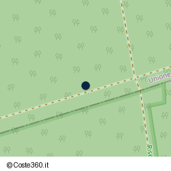 Posizione della concessione demaniale marittima Comune di Viareggio, A. 2020, N. 16
