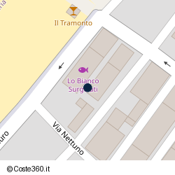 Posizione della concessione demaniale marittima Comune di Gioia Tauro, A. 2015, N. 70