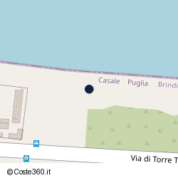 Posizione della concessione demaniale marittima Comune Brindisi, A. 2016, N. 57182