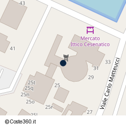 Posizione della concessione demaniale marittima Comune di Cesenatico, A. 2019, N. 111