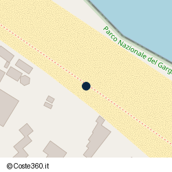 Posizione della concessione demaniale marittima Comune di Vieste, A. 2008, N. 21