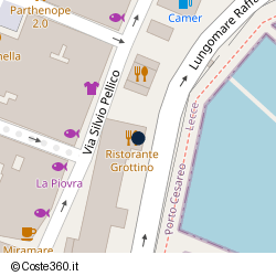 Posizione della concessione demaniale marittima Comune Porto Cesareo, A. 2025, N. 8