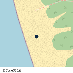 Posizione della concessione demaniale marittima Comune di Bibbona, A. 2025, N. 23