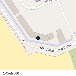 Posizione della concessione demaniale marittima Autorità Portuale di Regione Toscana, A. 2008, N. 0168