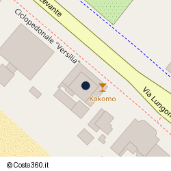 Posizione della concessione demaniale marittima Comune di Massa, A. 2009, N. 88