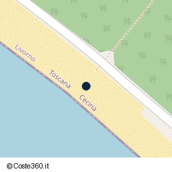 Posizione della concessione demaniale marittima Comune di Cecina, A. 2025, N. 198