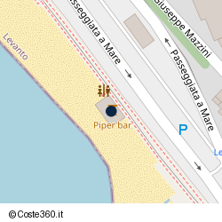 Posizione della concessione demaniale marittima Comune di Levanto, A. 2025, N. 4