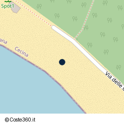 Posizione della concessione demaniale marittima Comune di Cecina, A. 2025, N. 197