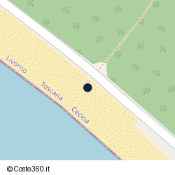 Posizione della concessione balneare Comune di Cecina, A. 2015, N. 54
