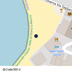 Posizione della concessione demaniale marittima Comune di Castellabate, A. 2025, N. 1