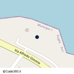 Posizione della concessione demaniale marittima Comune di Bari, A. 2025, N. 9