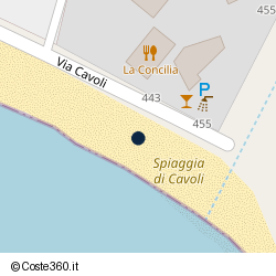 Posizione della concessione balneare Comune di Campo Nell'Elba, A. 2009, N. 06