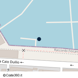 Posizione della concessione demaniale marittima Autorità Portuale di Mar Tirreno Centrale, A. 2008, N. 42