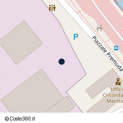 Posizione della concessione demaniale marittima Autorità Portuale Mar Tirreno Settentrionale, A. 2024, N. 92