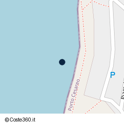 Posizione della concessione demaniale marittima Comune di Porto Cesareo, A. 2024, N. 15