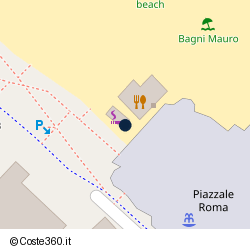 Posizione della concessione demaniale marittima Comune di Riccione, A. 2014, N. 366